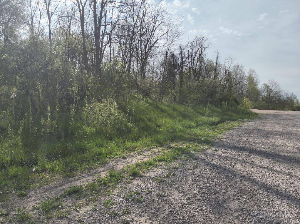 Madison Twp, OH 45656,0 Roscoe Rd