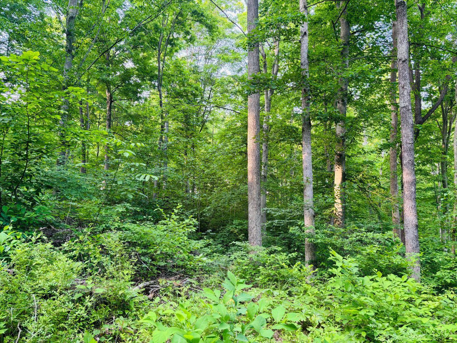 Laurel, IN 47024,0 Laurel Rd