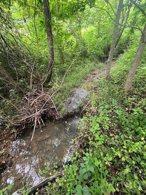 Washington Twp, OH 45663,0 Dry Run Rd