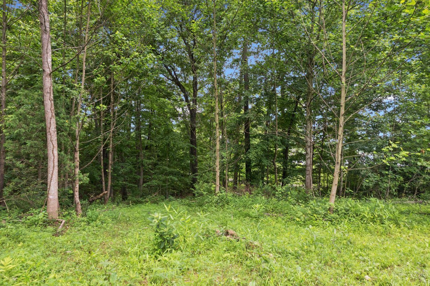 Peebles, OH 45660,0 Black Hollow Rd