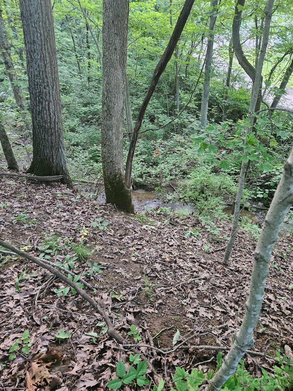 Franklin Twp, OH 45120,0 Hopewell Rd