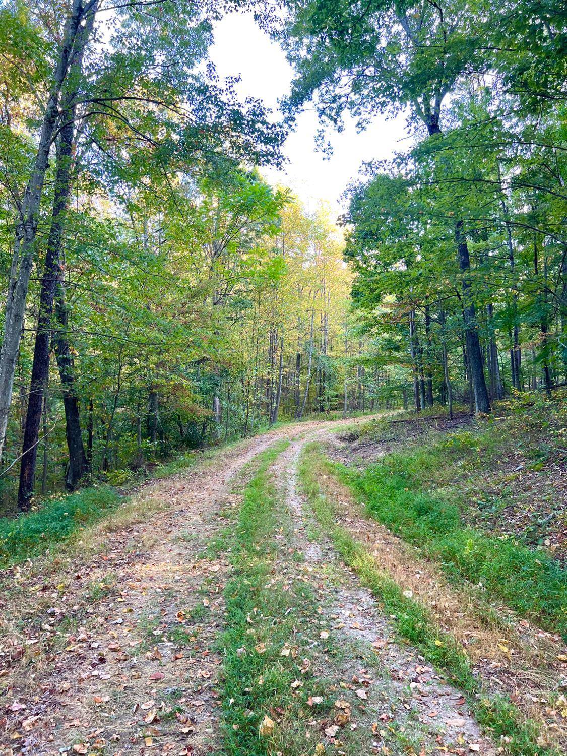 Sunfish Twp, OH 45660,0 S Side Chenoweth Fork Rd