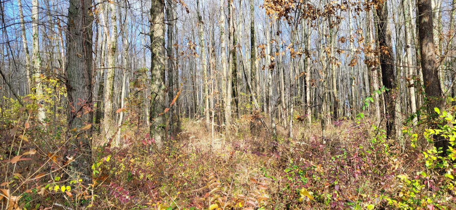 Goshen Twp, OH 45140,1670 Woodville Pike