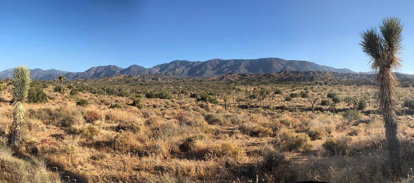 Pearblossom, CA 93553,11640 Fort Tejon RD