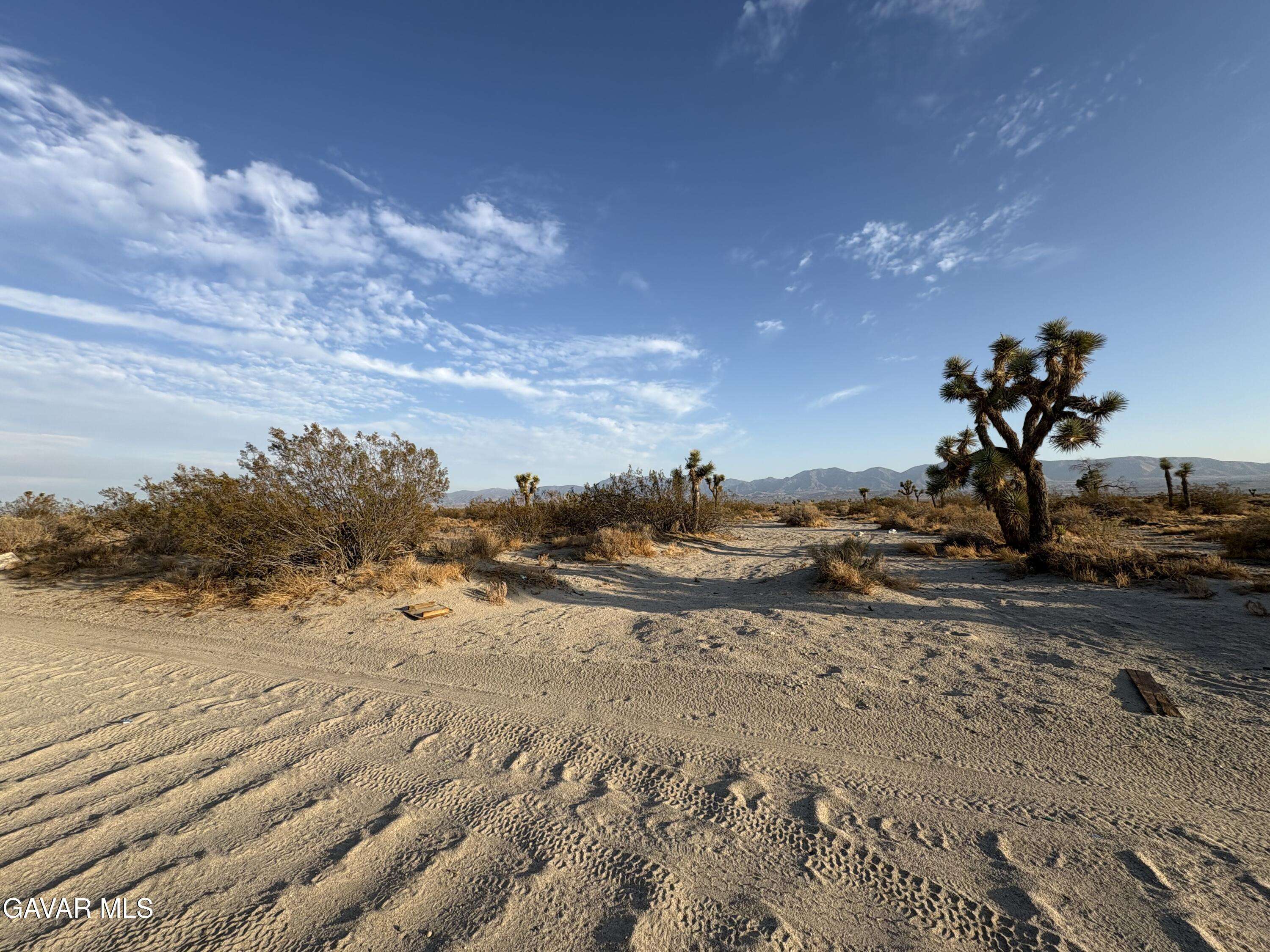 Sun Village, CA 93543,E Ave R8 Vic 145th Ste