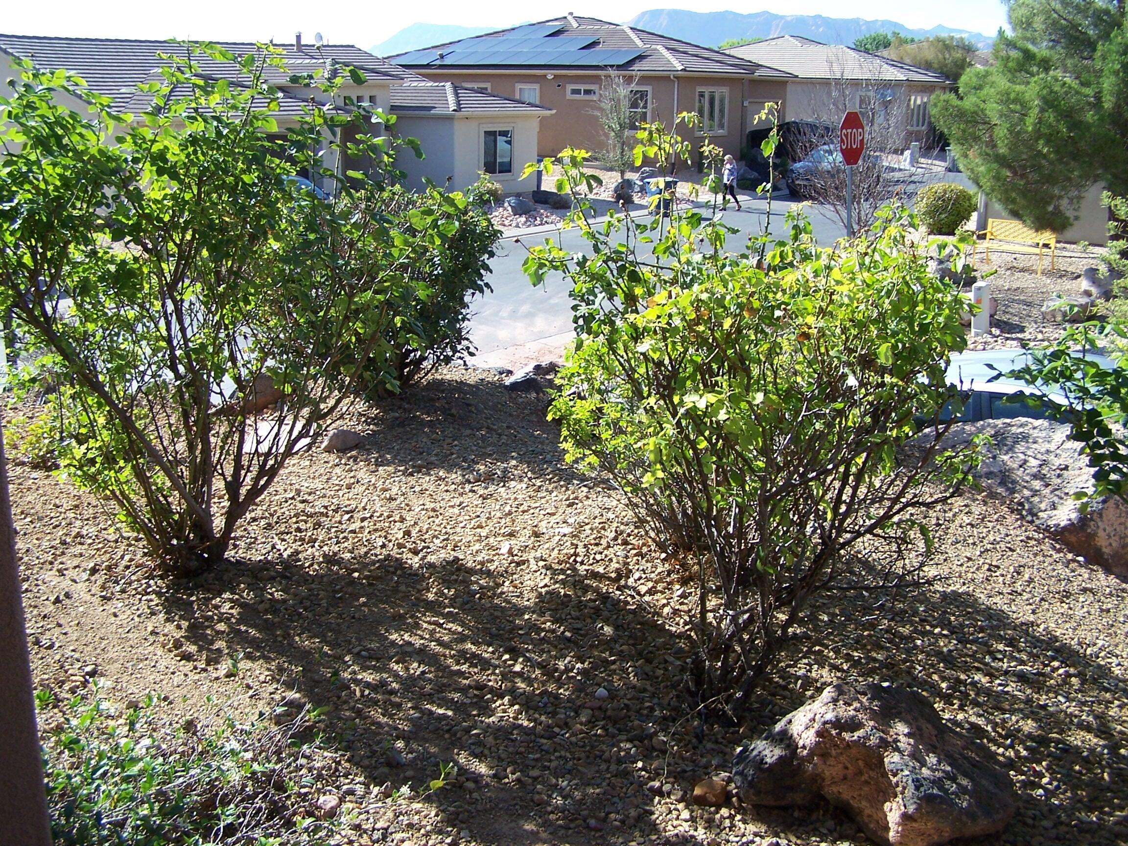 St George, UT 84770,1210 W Indian Hills DR 18