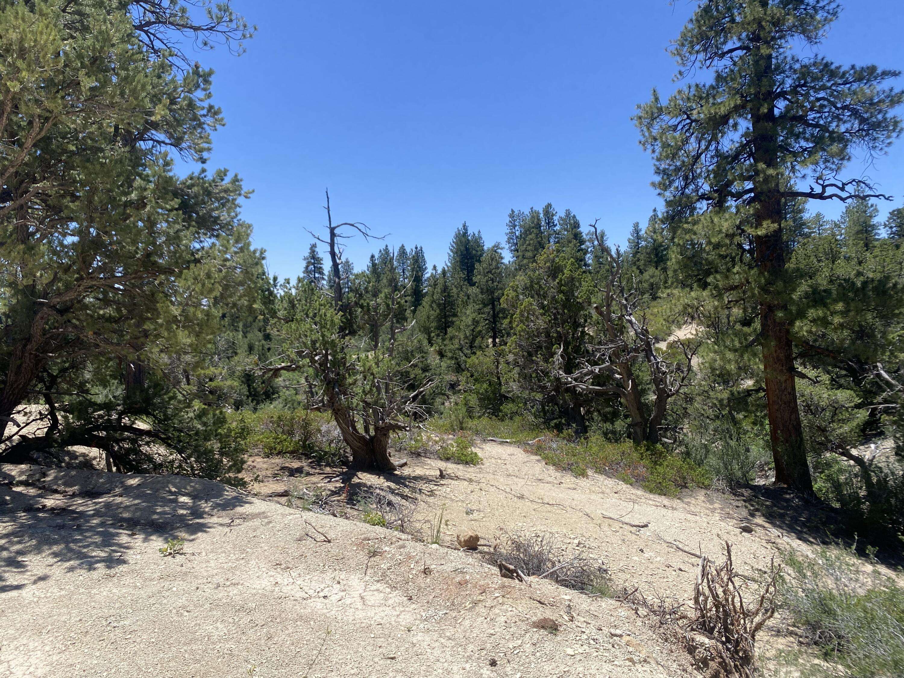 Virgin, UT 84779,2212 E Egan RD