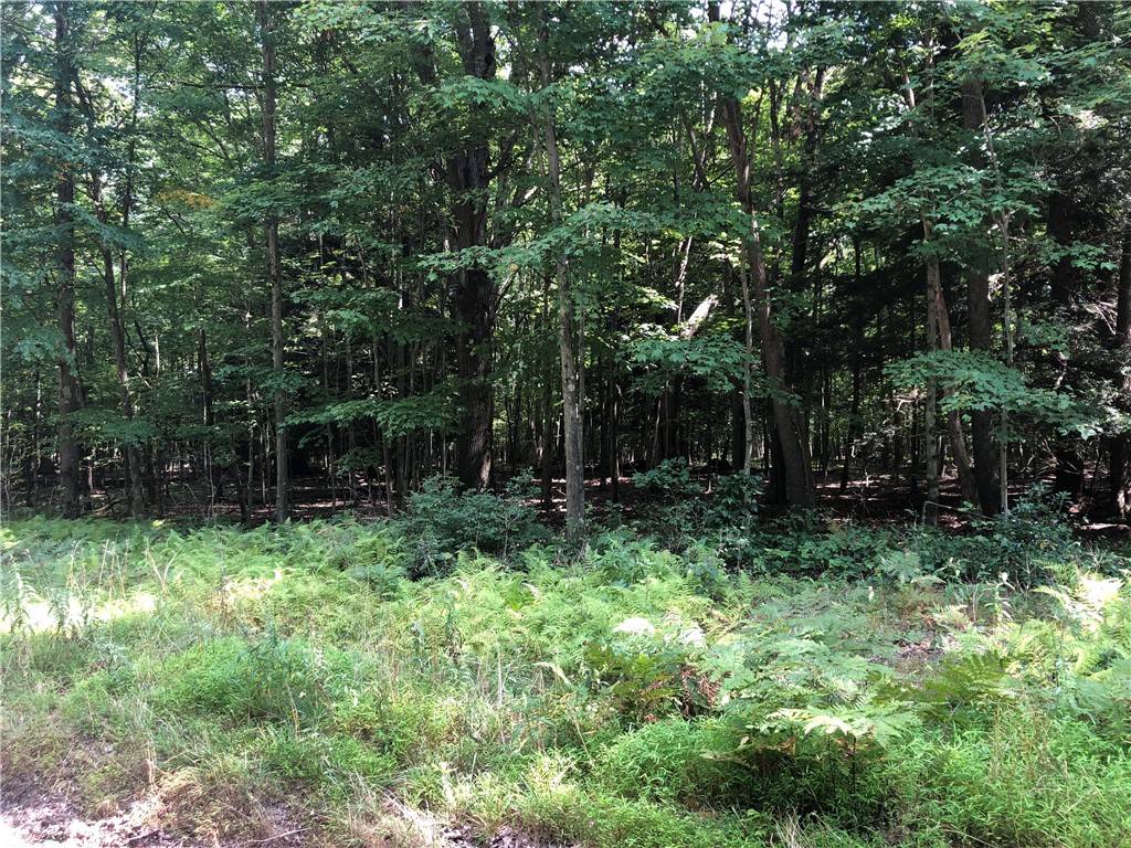 PA 16374,00 Kennerdell Road