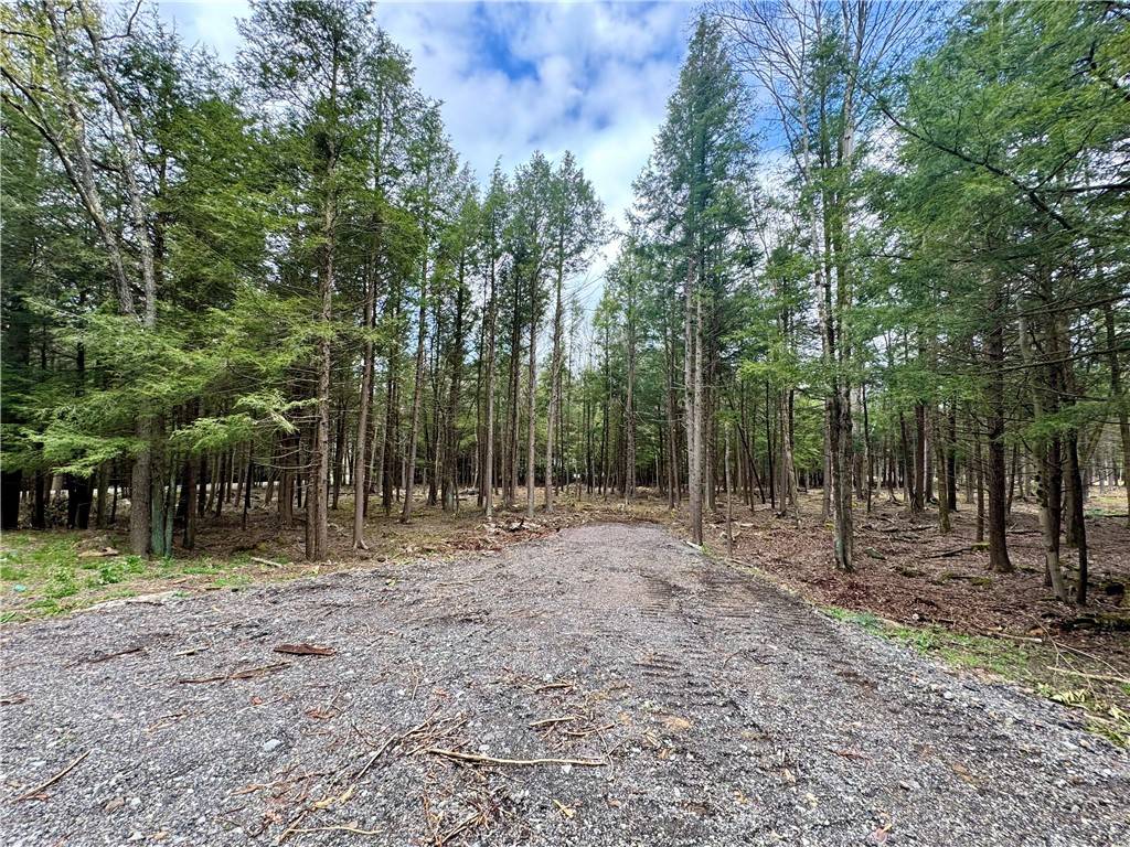 Indian Lake Boro, PA 15926,Lot 248 Peninsula Dr.