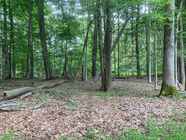 Dubois Area School District, PA 15801,15 729 Culebra Court