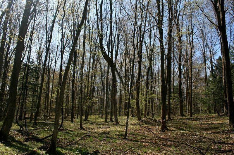 Hampton, PA 15101,4385 Wildwood-Sample Rd.