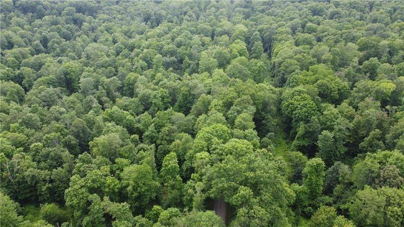 Sandy Lake Twp, PA 16342,00 Greenlee Rd, Lot #1