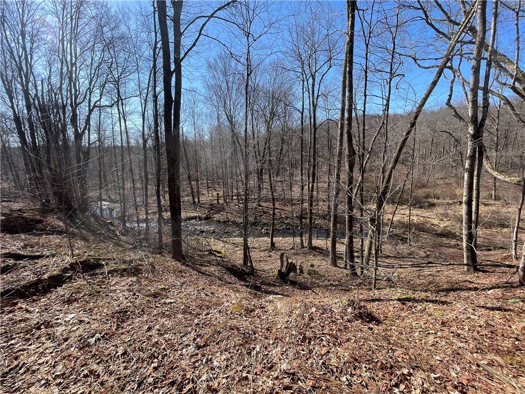 Sandy Lake Twp, PA 16342,00 Greenlee Rd, Lot #1