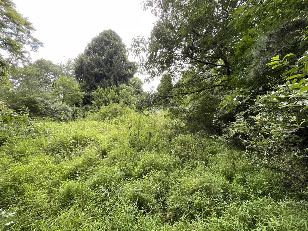 Bentleyville, PA 15314,0 Wood Street