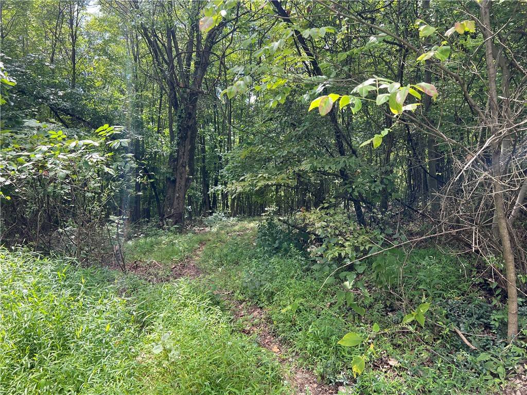 Upper Burrell, PA 15613,0 Chasake Trail