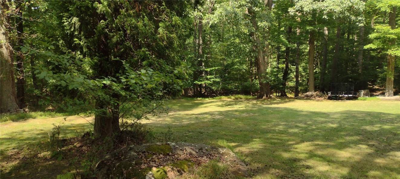 Blairsville Area, PA 15717,000 Chestnut Ridge Rd