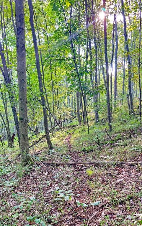 S Mahoning/plumville, PA 16246,0 Oak Street/Baker Road