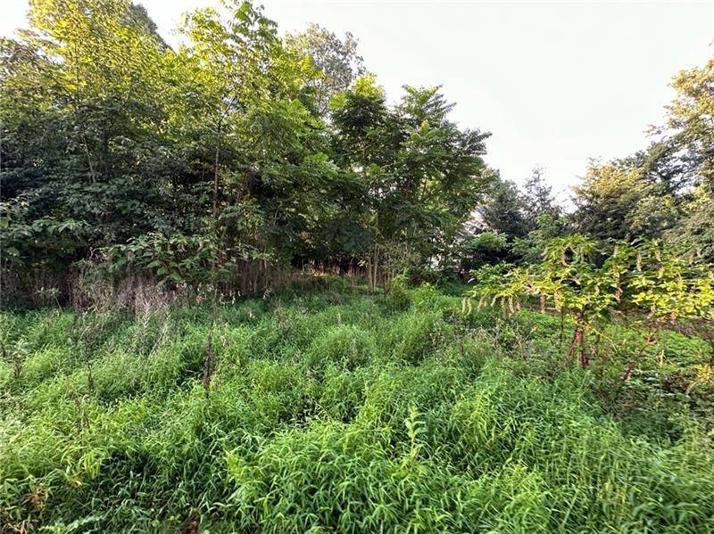 White Twp - Ind, PA 15701,113 Nicola Lane