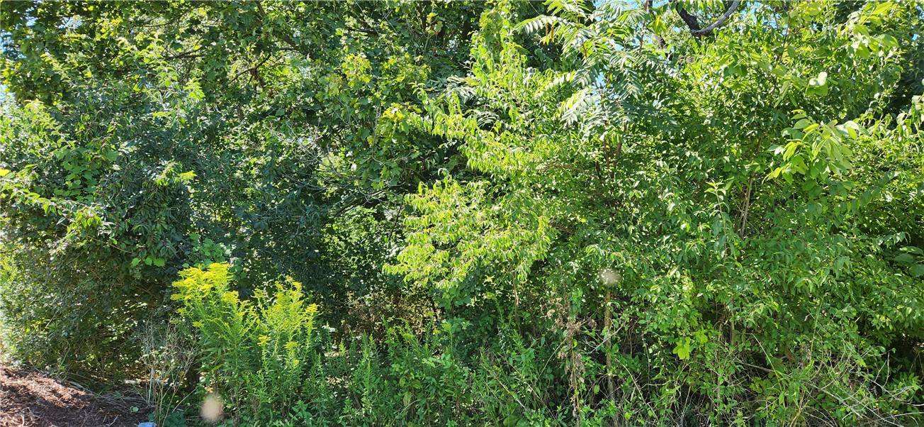 Green Tree, PA 15220,341 Mansfield Ave