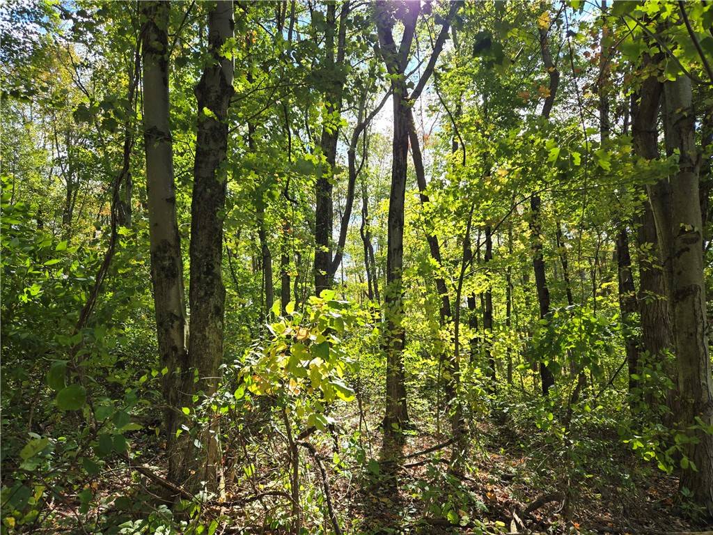 Long Branch Boro, PA 15423,000 Lot 24 Dally Road