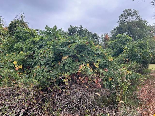 Economy, PA 15005,0 Off Droz Lot #2 Beck Plan