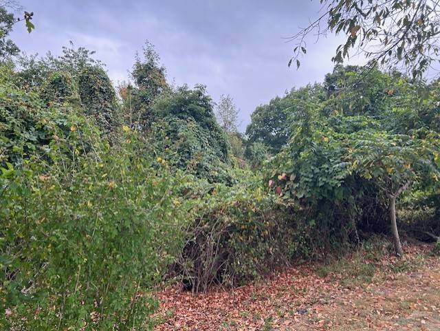 Economy, PA 15005,0 Off Droz Lot #2 Beck Plan