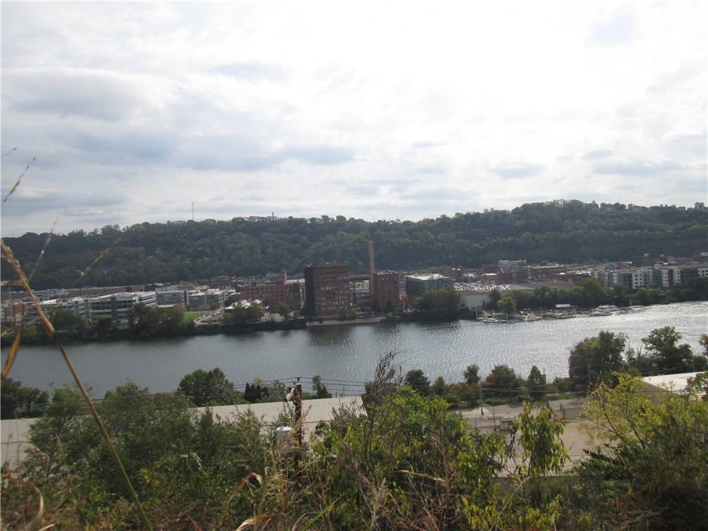 Troy Hill, PA 15212,1310 Goettman Street