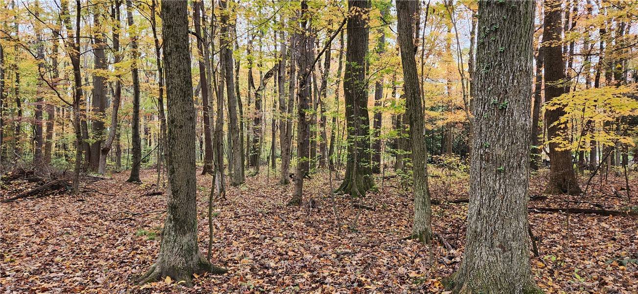 Cook Twp, PA 15687,0 33rd Street