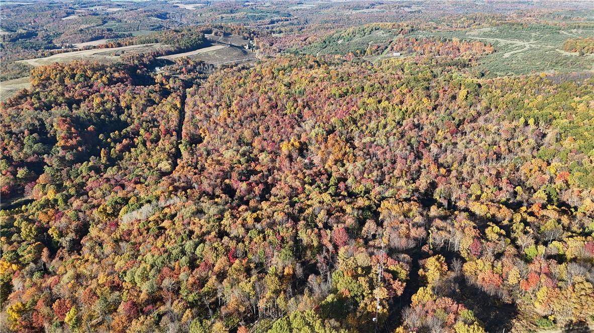 Montgomery/grant, PA 15759,76 Acres along Braughler Road