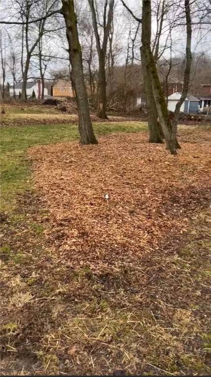 Baldwin Twp, PA 15226,0 Klein Pl