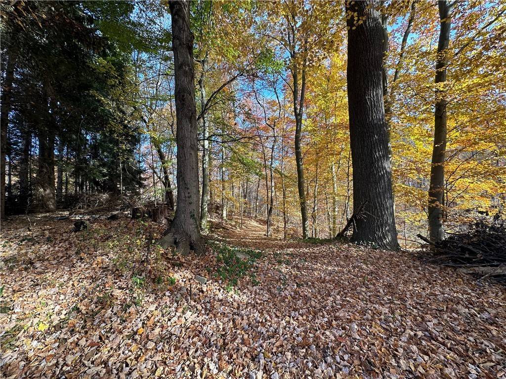 Wolf Creek Twp, PA 16127,00 Jervis Lake Rd