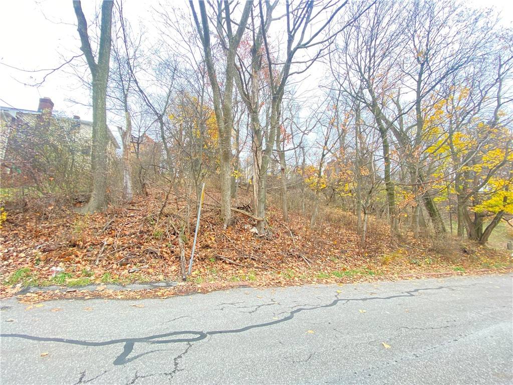 Reserve, PA 15212,TBD Cronemeyer Ave