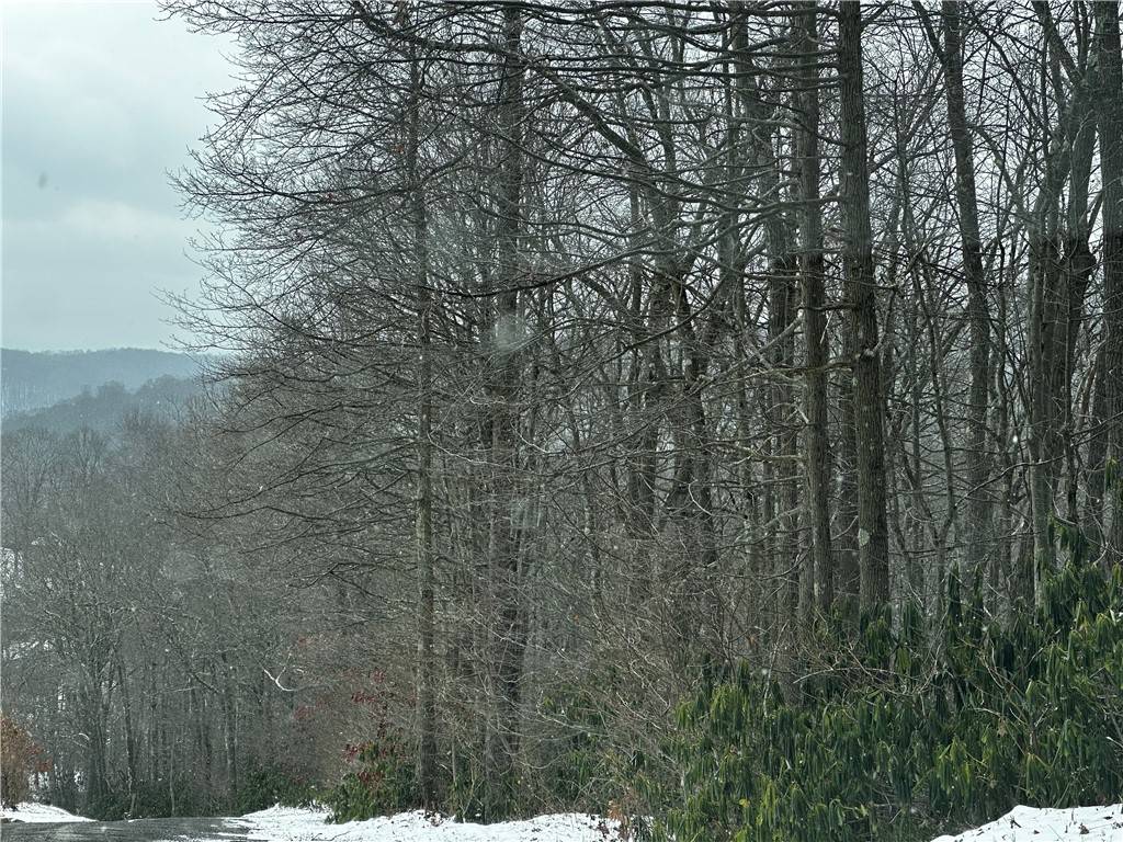 Wharton Twp, PA 15437,702 Shepherd Rd