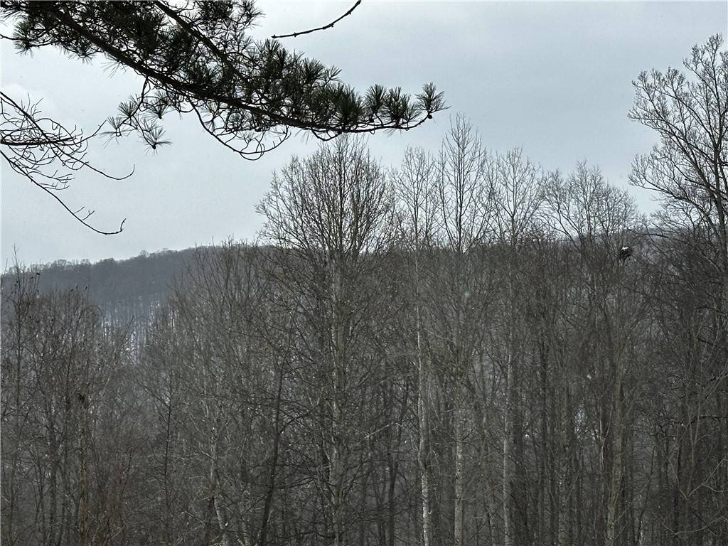 Wharton Twp, PA 15437,702 Shepherd Rd