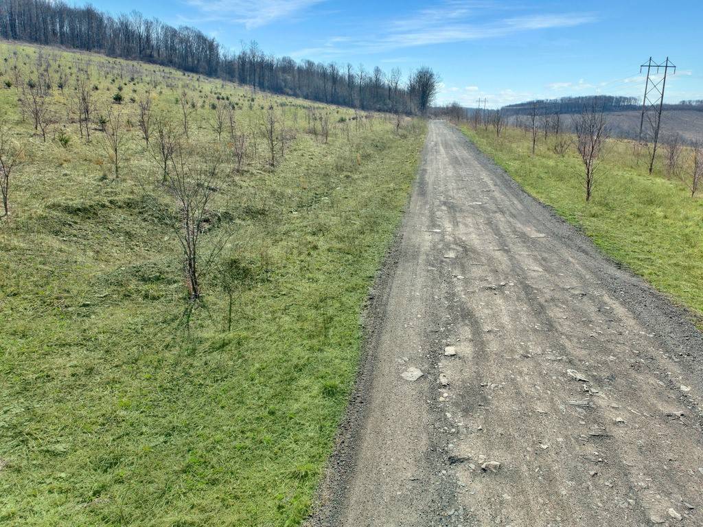 Shade Twp, PA 15936,0 Fallen Timber Rd