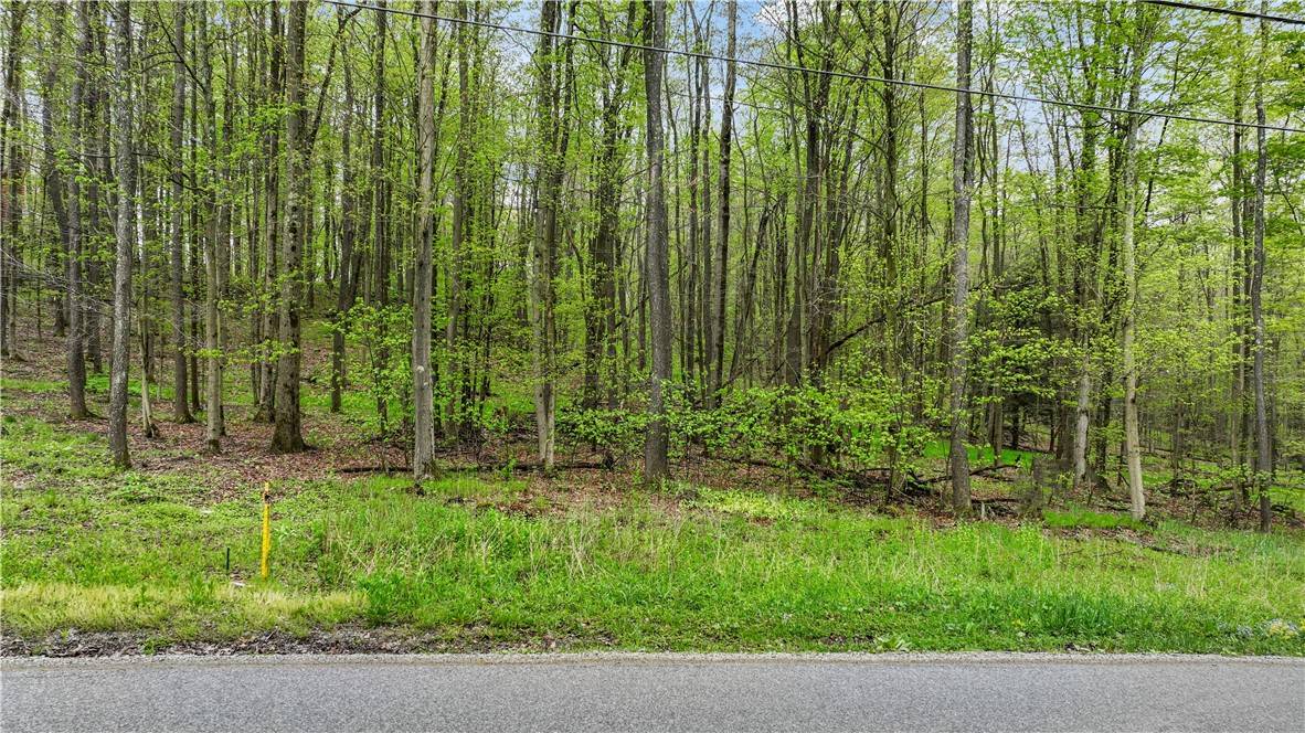 Indian Lake Boro, PA 15926,C4 S Peninsula Dr