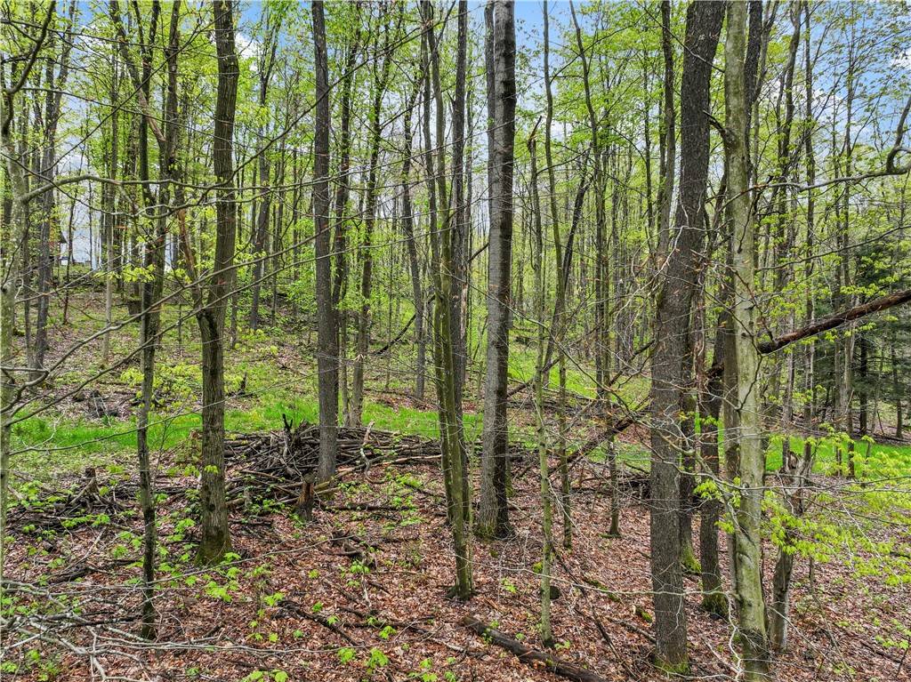 Indian Lake Boro, PA 15926,C4 S Peninsula Dr