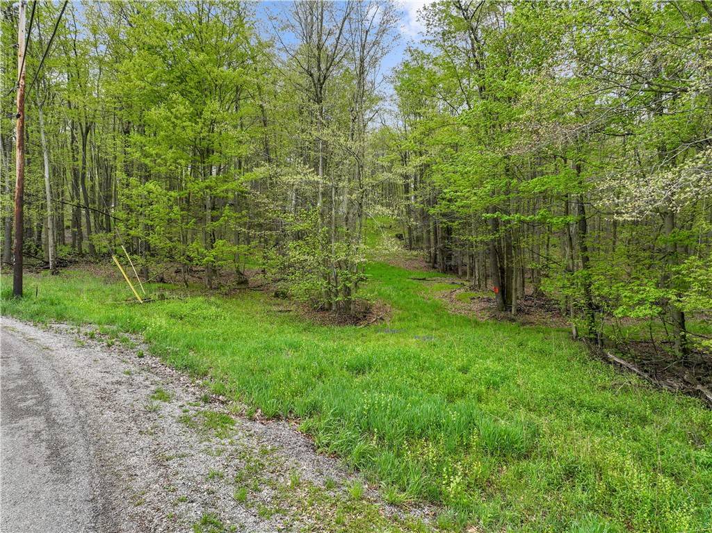 Indian Lake Boro, PA 15926,C5 S Peninsula Drive