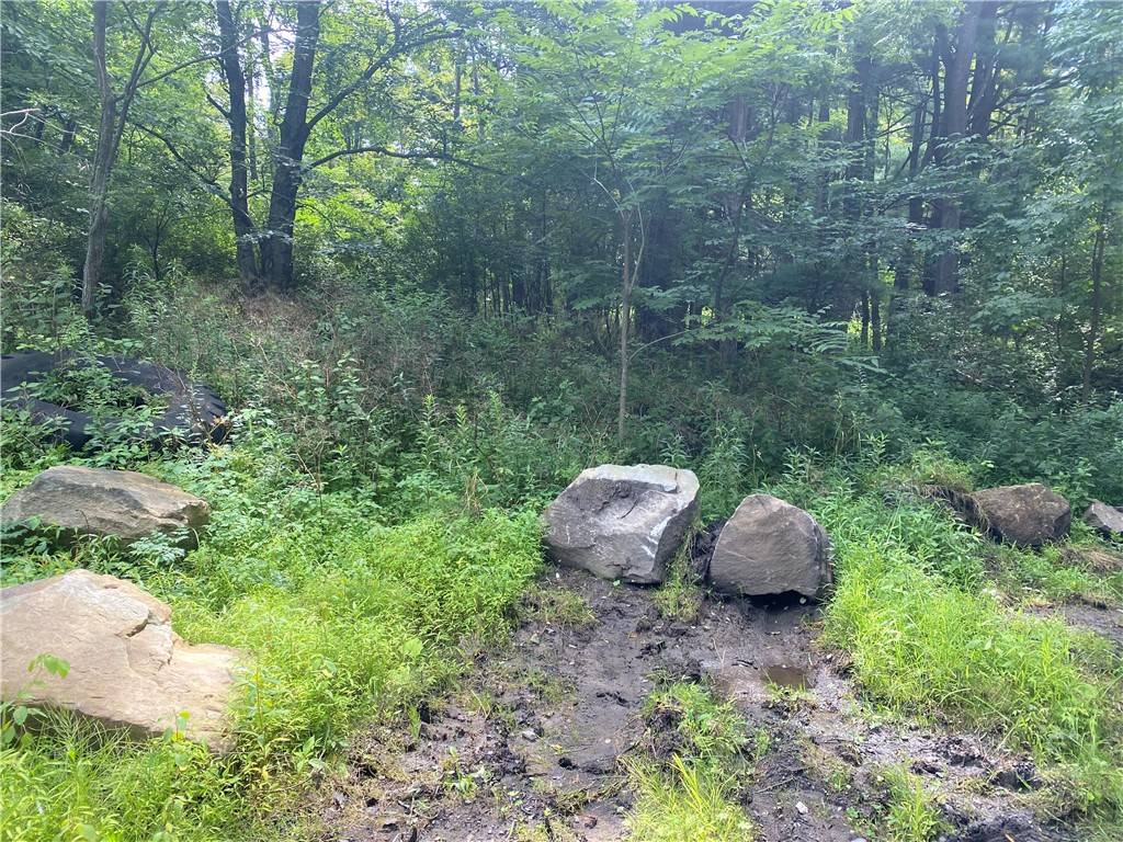 PA 16838,925 Haytown Road