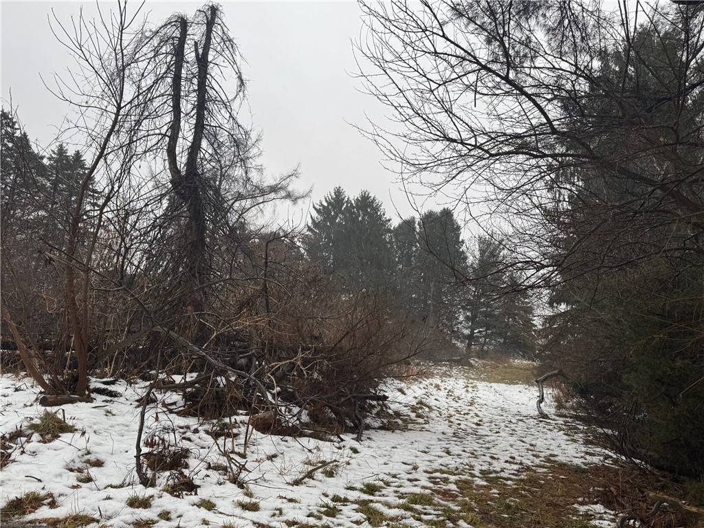 New Castle/4th, PA 16101,1114 Countyline Rd