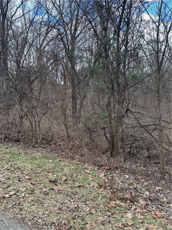 Center Twp - Bea, PA 15061,0000 Dana Dr