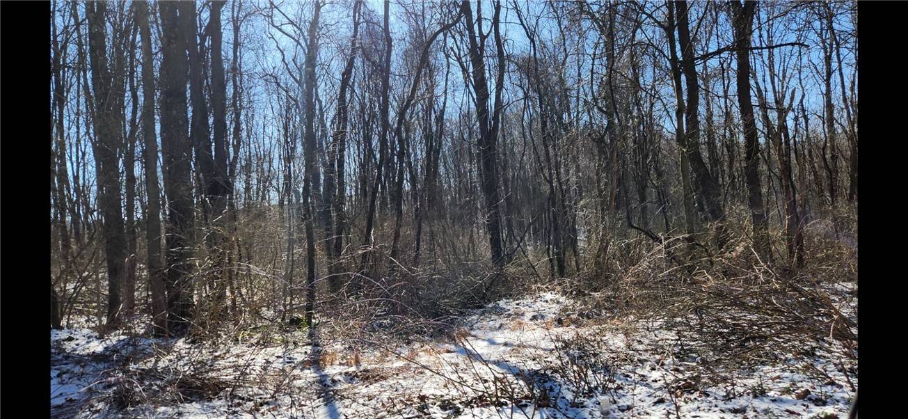 Saltlick Twp, PA 15622,0 Nebo Rd