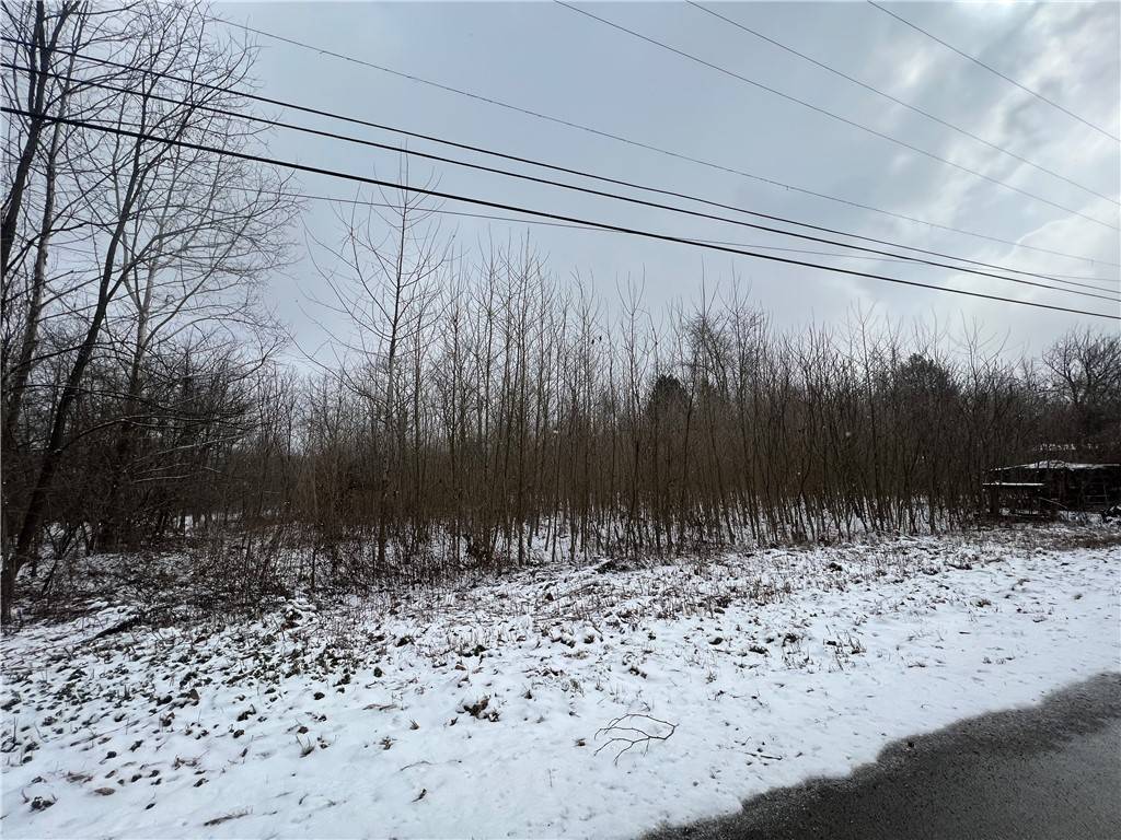 North Beaver Twp, PA 16102,Lots 61-64 Willow Drive