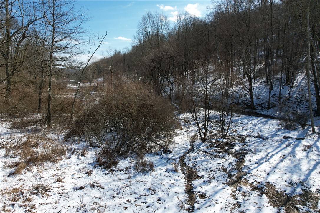 Holbrook, PA 15341,1835 Toms Run Road