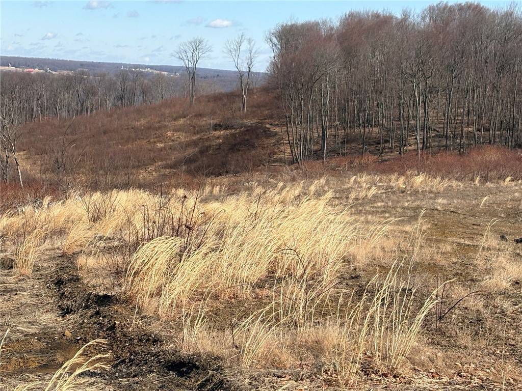 E/w Wheatfield Twp, PA 15954,Lot Auction Ln