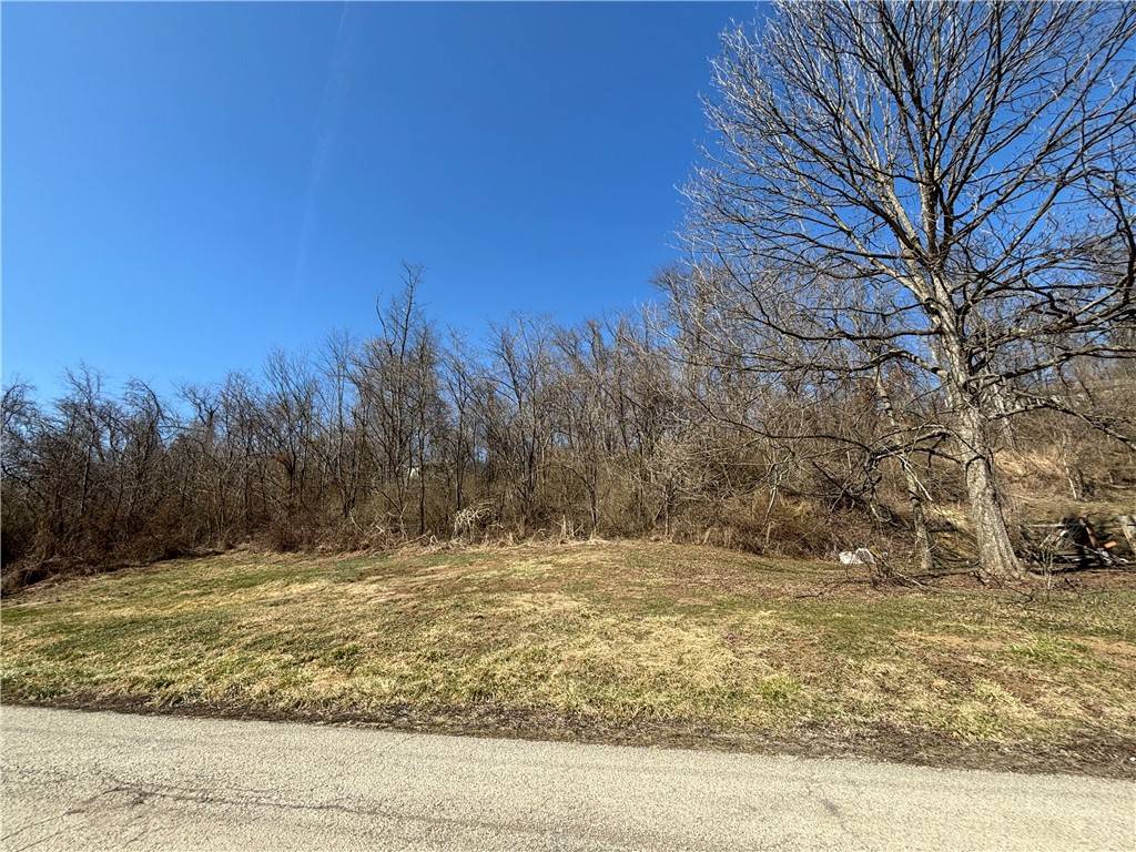 Masontown, PA 15461,0 W Harvey Ave