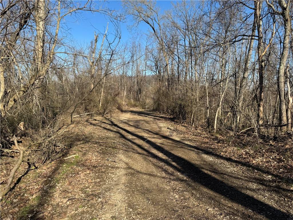 Independence - Wsh, PA 15312,0 Fallen Timber Road