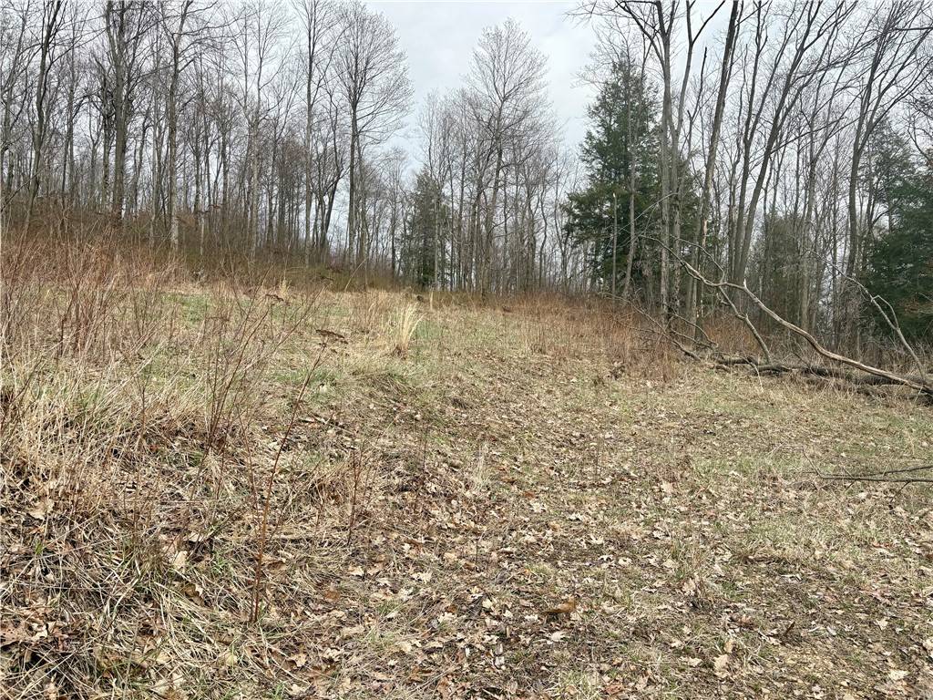 Confluence, PA 15424,Lot 3 Cranberry Rd