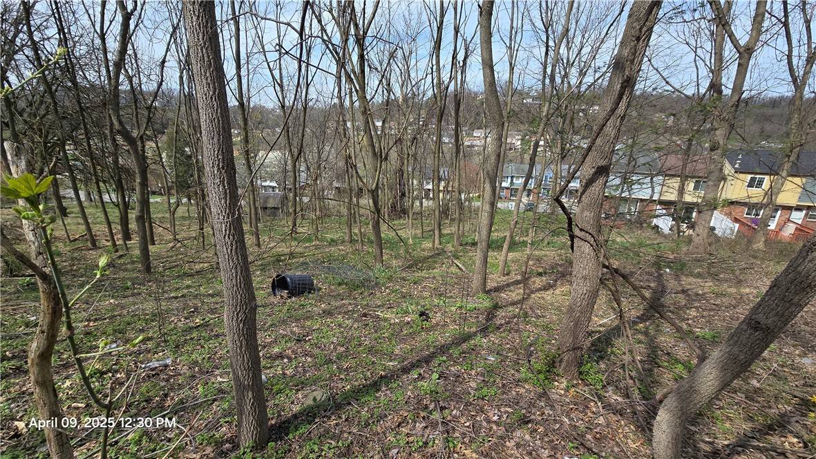 Whitehall, PA 15227,0 Shadowlawn Dr
