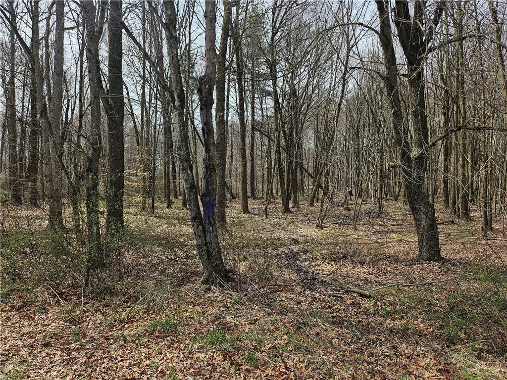 Plain Grove Twp, PA 16156,Lot 3 Book Road